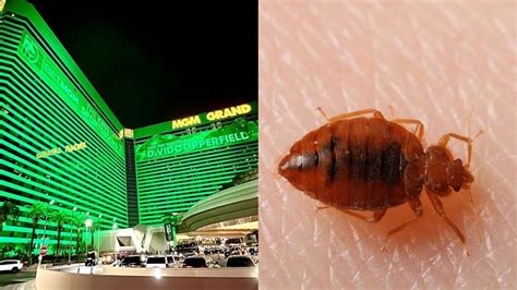 Inspectors find bed bugs at several Las Vegas Strip hotels